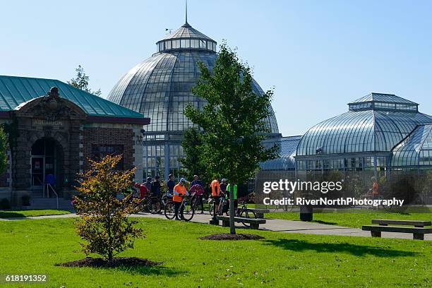 belle isle city park, detroit, michigan - aquarium stock pictures, royalty-free photos & images