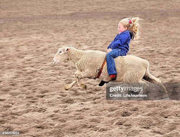 enthusiastic mutton bustin rodeoing little girl - rodeo stockfoto's en -beelden