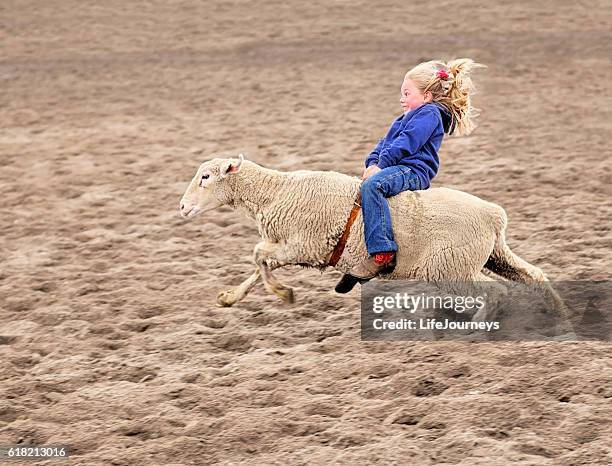 enthusiastic mutton bustin rodeoing little girl - lam dier stockfoto's en -beelden