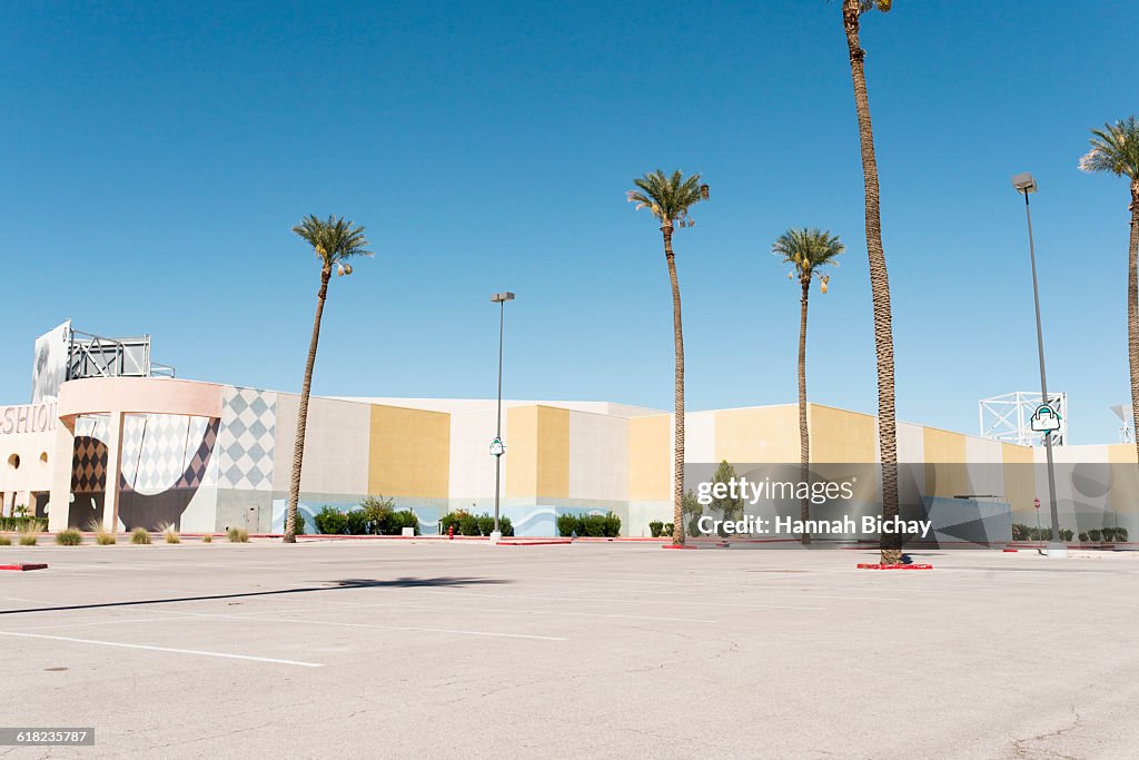 Empty car park in front of big building, palm tree