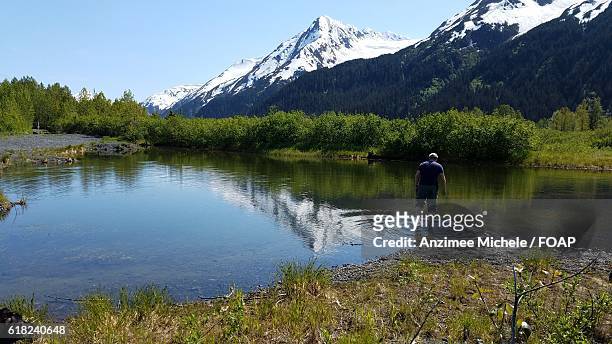 person walking into the pond - portage glacier stockfoto's en -beelden