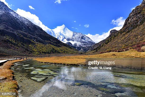 snowy mountain and trees in rural landscape - continental divide stock pictures, royalty-free photos & images