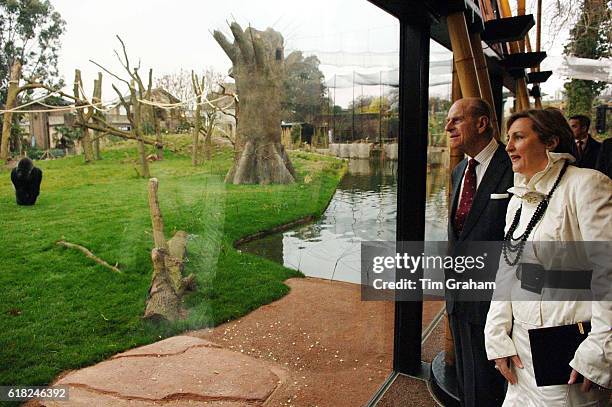 Prince Philip, Duke of Edinburgh looks out at Bobby the gorilla during the official opening of the Gorilla Kingdom, a new habitat in London Zoo based...