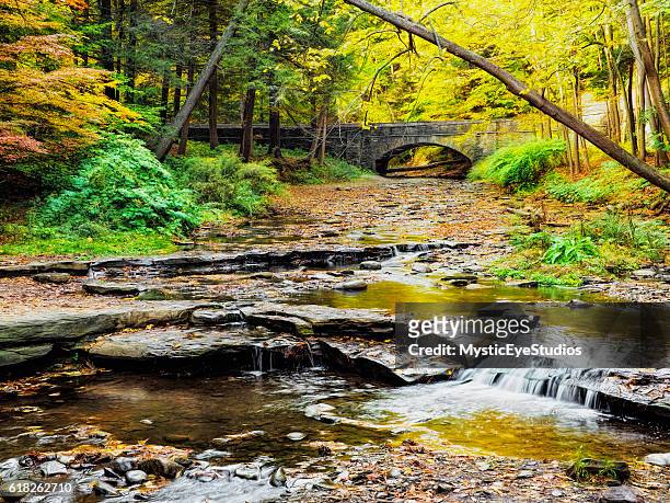 a bridge too far - changing colour stock pictures, royalty-free photos & images