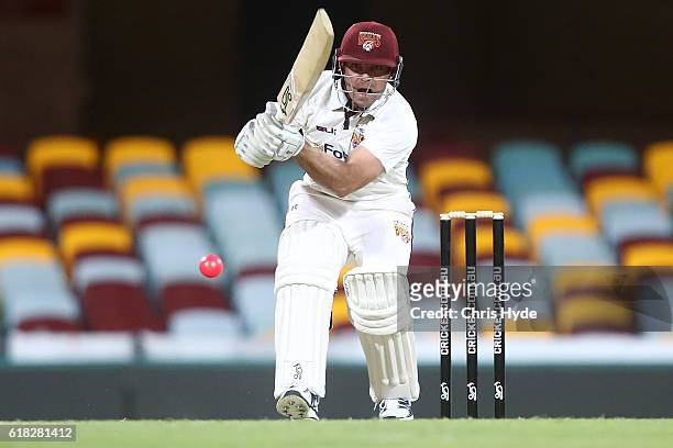 Chris Hartley of the Bulls bats during day two of the Sheffield Shield match between Queensland Bulls and New South Wales Blues at The Gabba on...