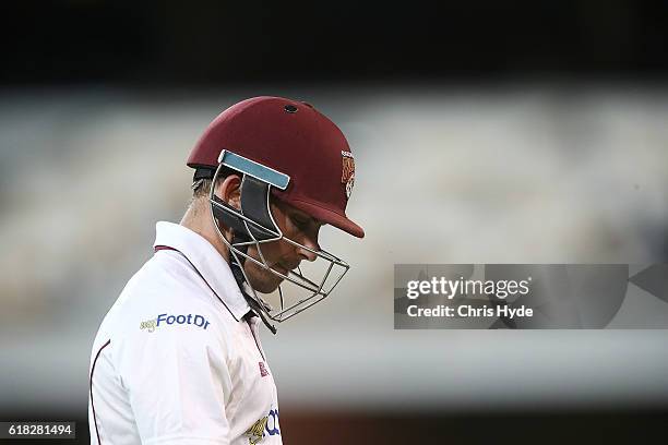 Chris Hartley of the Bulls bats leaves the field after being dismissed during day two of the Sheffield Shield match between Queensland Bulls and New...