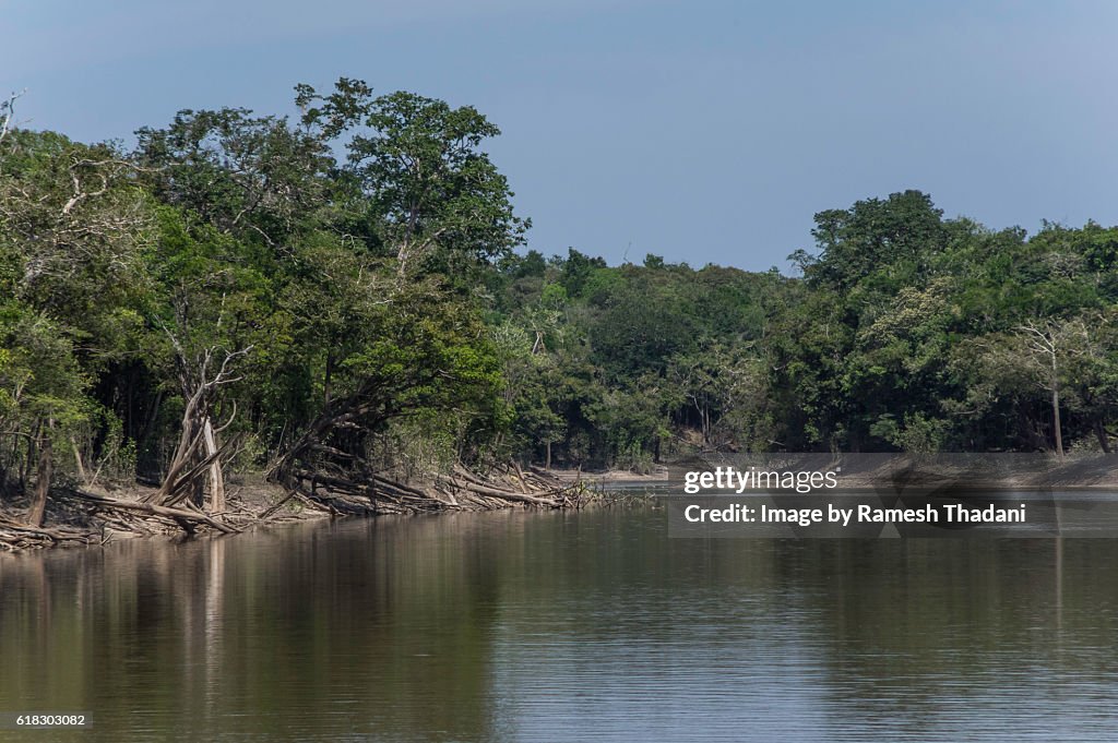 Igapo Acu river