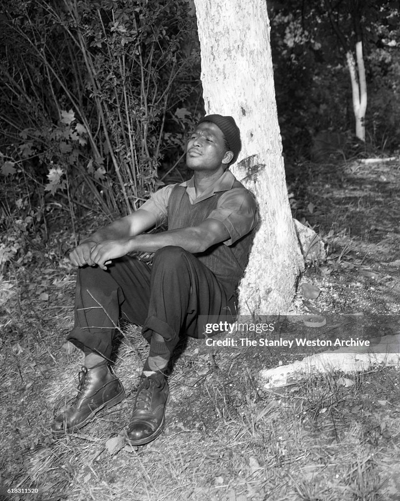 Sugar Ray Robinson ...
