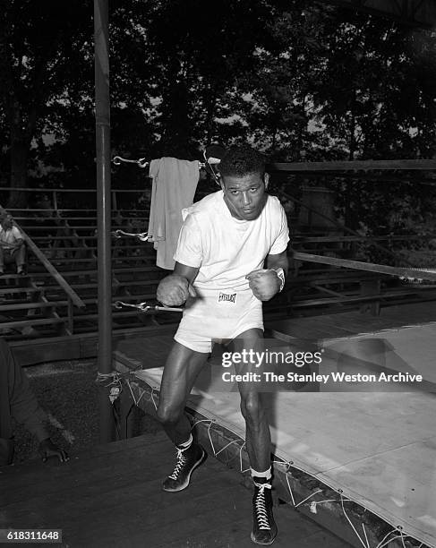Sugar Ray Robinson the world welterweight campion in a boxing pose, circa 1947.