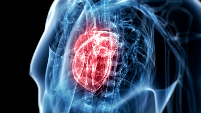 7,277 Human Heart Videos and HD Footage - Getty Images 7,277 Human Heart Videos and HD Footage - Getty Images