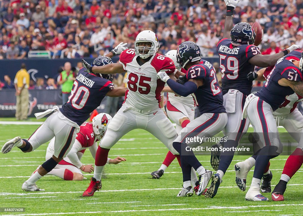 NFL: AUG 28 Preseason - Cardinals at Texans