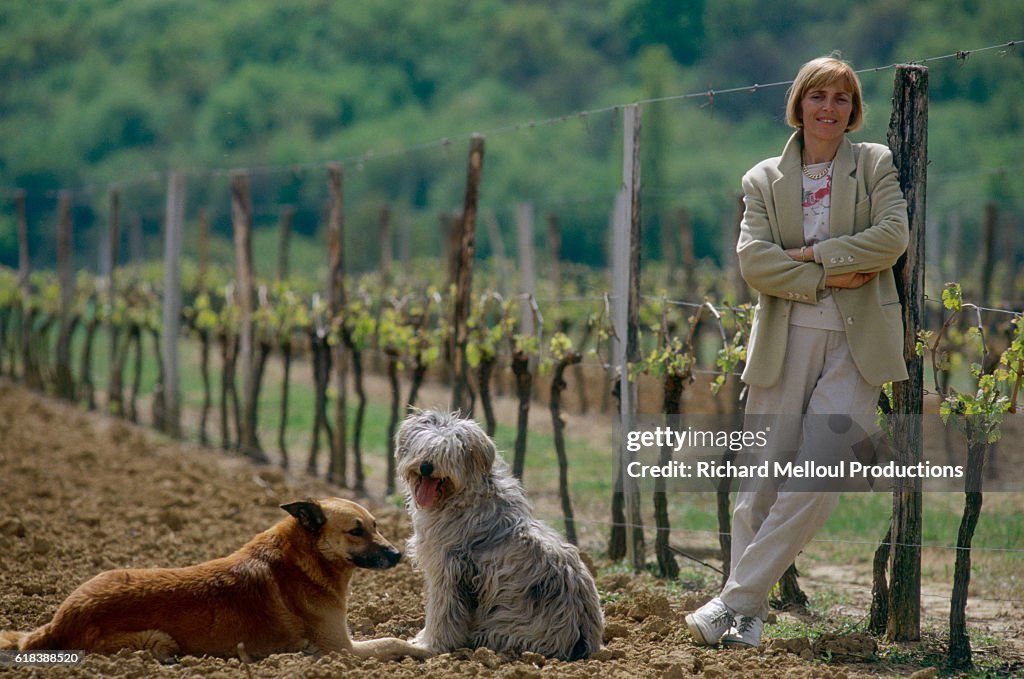 French Vineyard Landladies