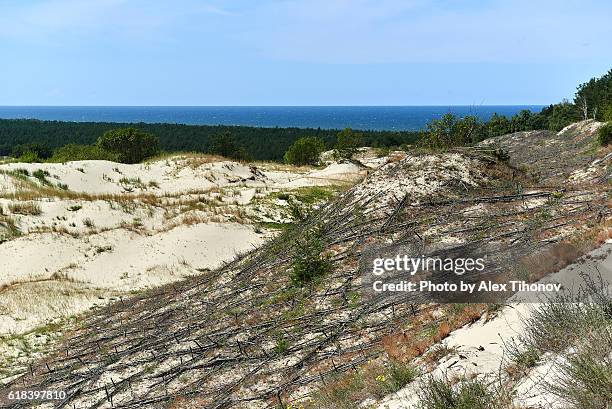 Sceronian Rocks Curonian Spit National Park Photos and Premium High Res Pictures ...