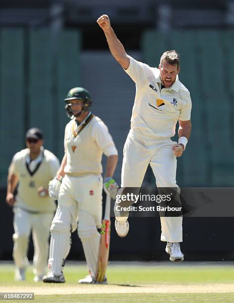 Daniel Christian of Victoria celebrates as he dismisses Jake Doran of Tasmania during day three of the Sheffield Shield match between Victoria and...