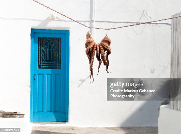 octopus hanging outside a restaurant - archipel des cyclades photos et images de collection