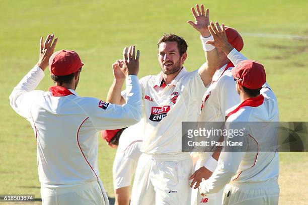 Chadd Sayers of the Redbacks celebrates the wicket of Michael Klinger of the Warriors during day three of the Sheffield Shield match between Western...