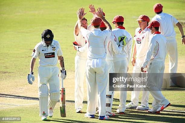 Chadd Sayers of the Redbacks celebrates the wicket of Michael Klinger of the Warriors during day three of the Sheffield Shield match between Western...