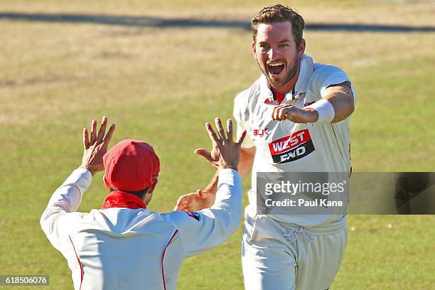 Chadd Sayers of the Redbacks celebrates after dismissing Mitchell Marsh of the Warriors for a golden duck during day three of the Sheffield Shield...