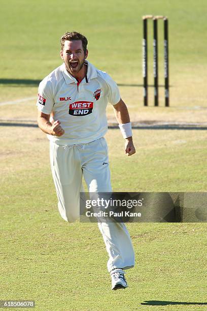 Chadd Sayers of the Redbacks celebrates after dismissing Mitchell Marsh of the Warriors for a golden duck during day three of the Sheffield Shield...