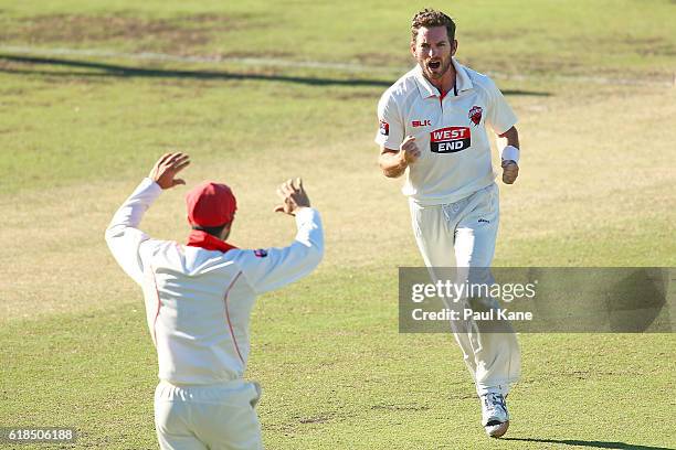 Chadd Sayers of the Redbacks celebrates after dismissing Adam Voges of the Warriors for a duck during day three of the Sheffield Shield match between...