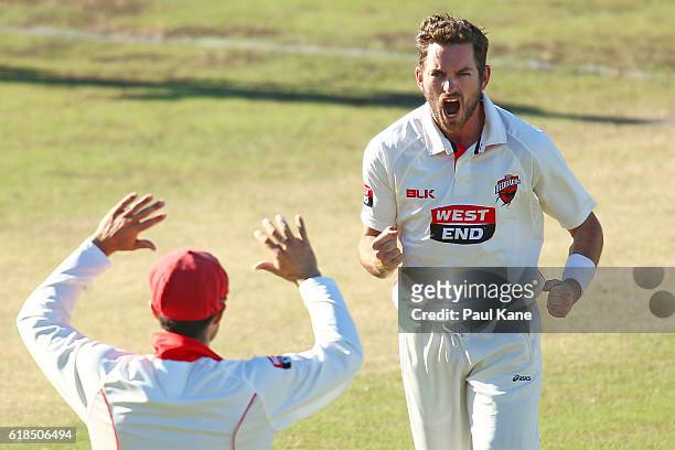 Chadd Sayers of the Redbacks celebrates after dismissing Adam Voges of the Warriors for a duck during day three of the Sheffield Shield match between...