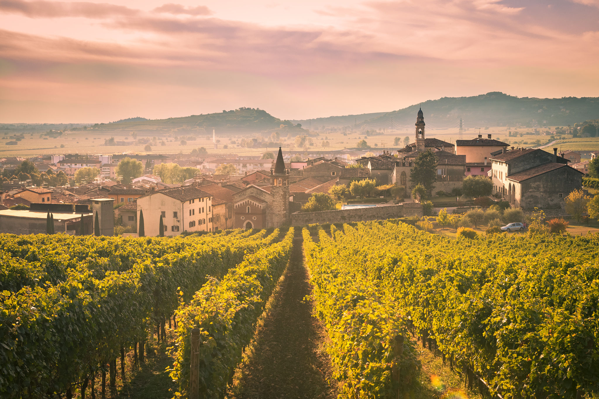veneto vineyard tour
