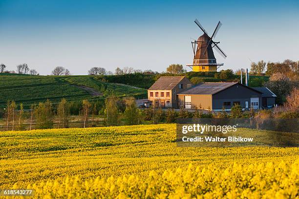 denmark, funen, exterior - funen stockfoto's en -beelden