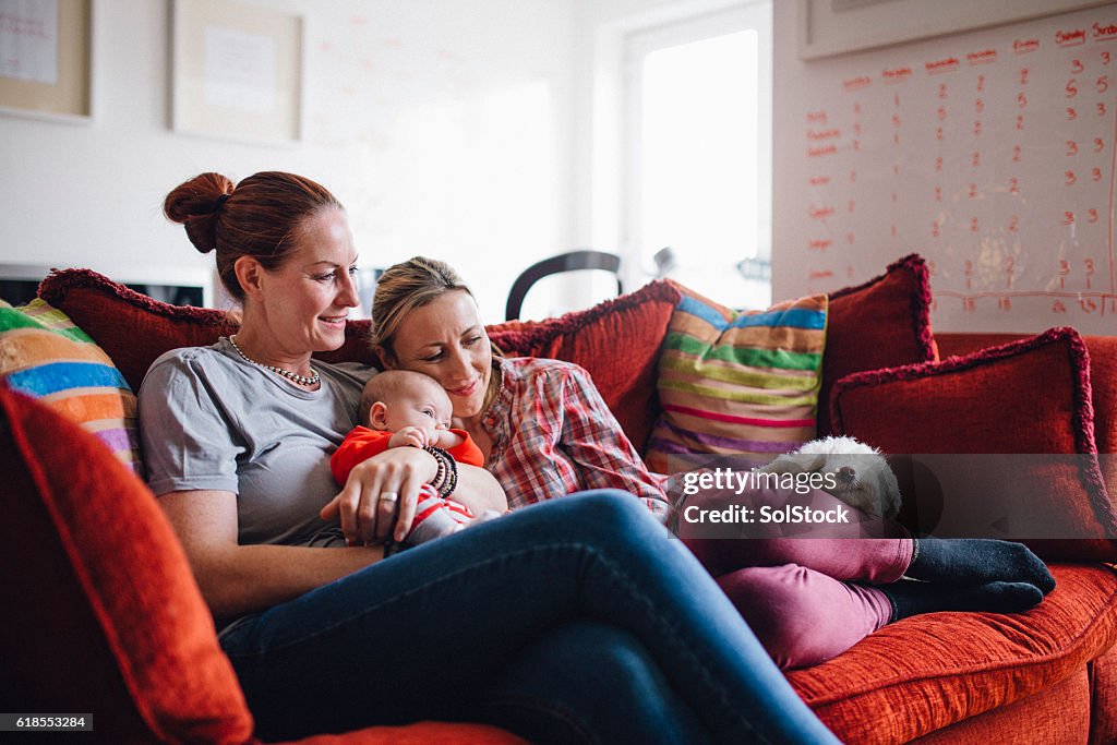 Madri, figlia e tempo del cane