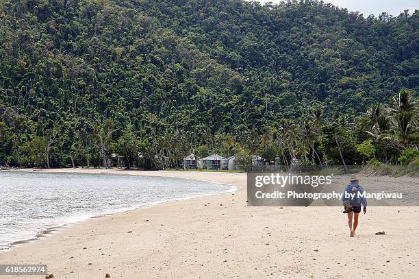 dunk island - cyclone yasi stock pictures, royalty-free photos & images