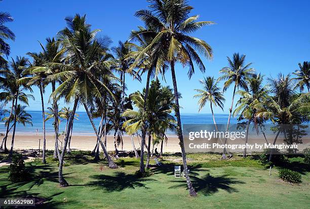 mission beach - playa mission queensland fotografías e imágenes de stock