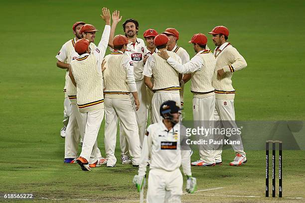 Kane Richardson of the Redbacks celebrates the wicket of Sam Whiteman of the Warriors during day three of the Sheffield Shield match between Western...