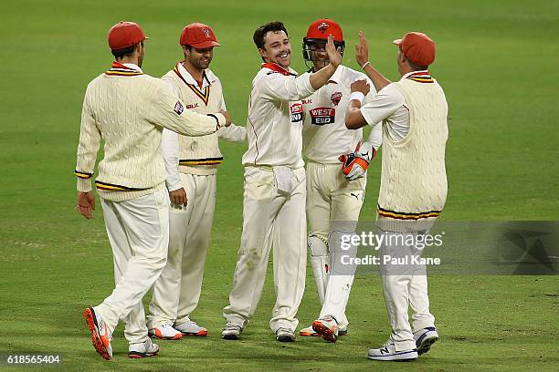 Travis Head of the Redbacks celebrates the wicket of Ryan Duffield of the Warriors during day three of the Sheffield Shield match between Western...