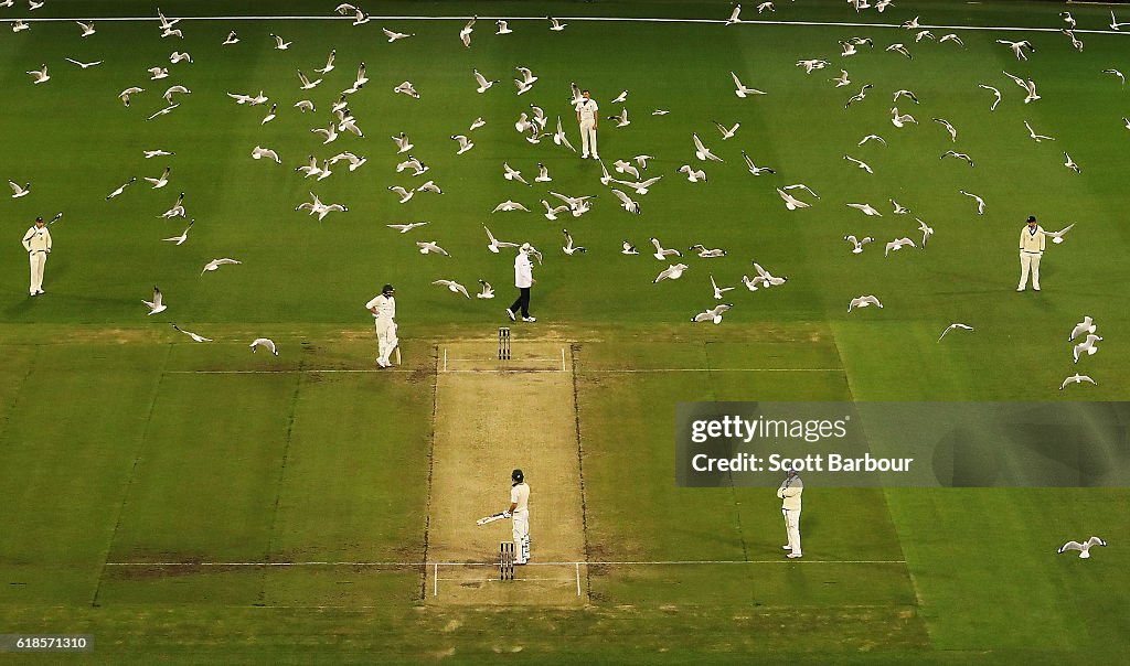 Sheffield Shield - VIC v TAS: Day 3