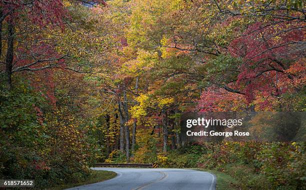 Trees displaying fall colors of red and gold are at peak season along the Blue Ridge Parkway on October 20, 2016 near Asheville, North Carolina....