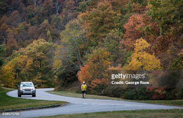 Trees displaying fall colors of red and gold are at peak season along the Blue Ridge Parkway on October 20, 2016 near Asheville, North Carolina....