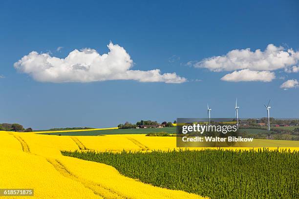 denmark, jutland, exterior - windmill denmark stock pictures, royalty-free photos & images