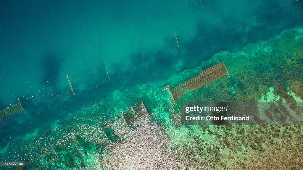 Aerial photo of a fisherman and seaweed farm in Nirawana Beach, Southeast Sulawesi