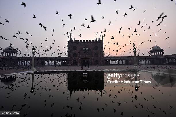 Flock of birds seen flying over the Jama Masjid, on October 27, 2016 in New Delhi, India. The New Zealand Prime Minister had been on a four-day visit...