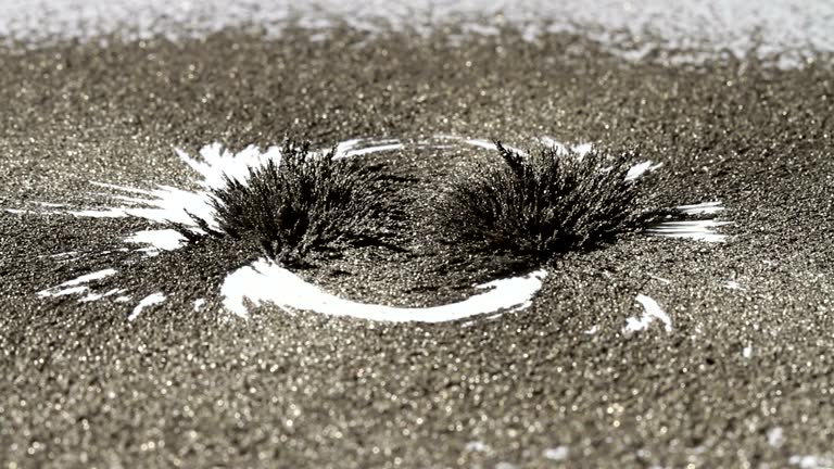Magnetic Field Pattern Sample 298 Magnetic Field Pattern Stock Videos, Footage, & 4K Video Clips ...