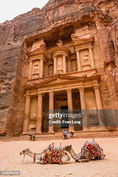 the treasury - petra jordan stock pictures, royalty-free photos & images