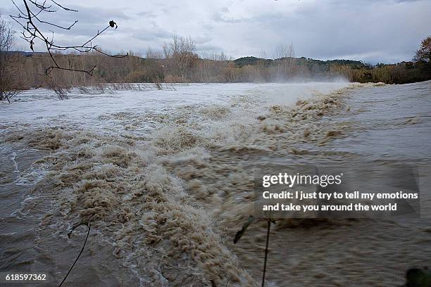 cecina, livorno, tuscany - flooded river - flood stockfoto's en -beelden