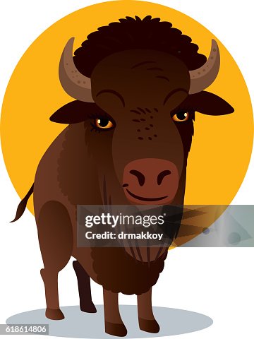 Vector Bison Vector Bison