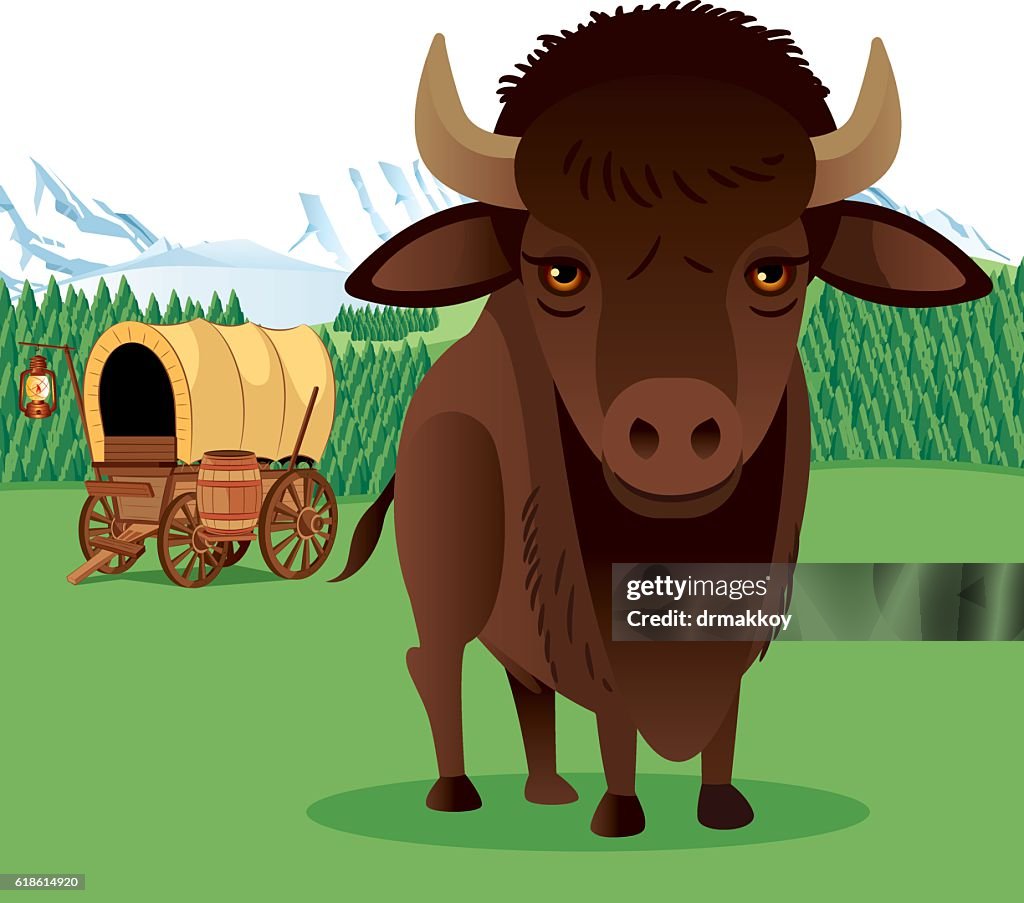 Bison and Mountains