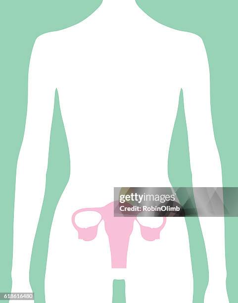 female reproductive system icon - female reproductive organ stock illustrations