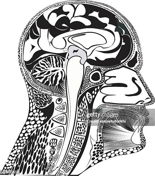 human head, - warm up exercise stock illustrations