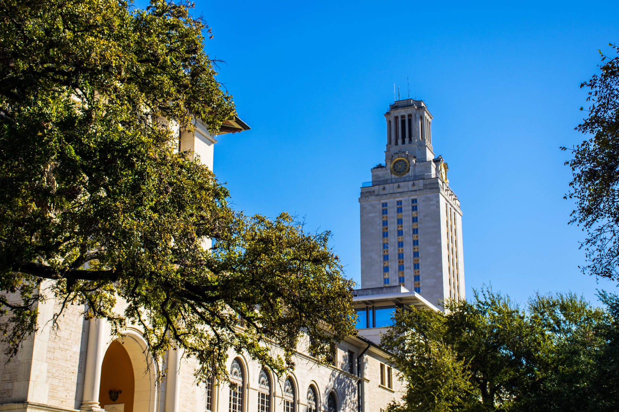 university of texas