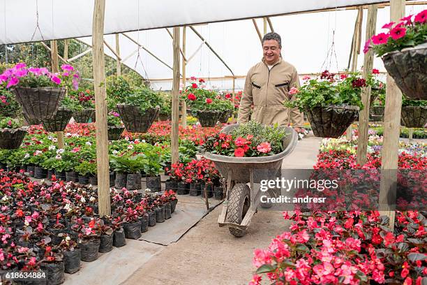 man working in a garden center - colombia flowers stock pictures, royalty-free photos & images