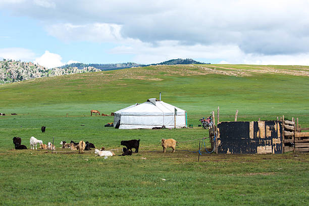Ger High Resolution 1,191 Mongolian Ger Stock Photos, High-Res Pictures, and Images - Getty ...