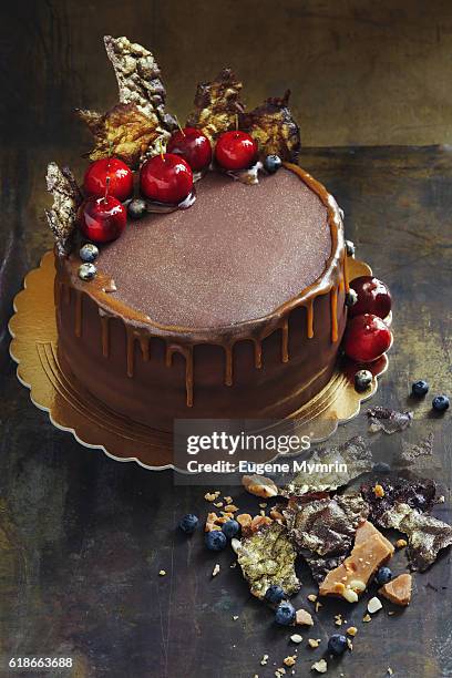 chocolate sponge cake decorated with berries and fruits - chocolate cake stock pictures, royalty-free photos & images