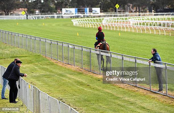 Owner Lloyd Williams and son Nick Williams are seen watching Bondi Beach gallop during a Werribee Trackwork Session on October 28, 2016 in Werribee,...